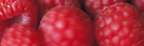 berry ドライフルーツ