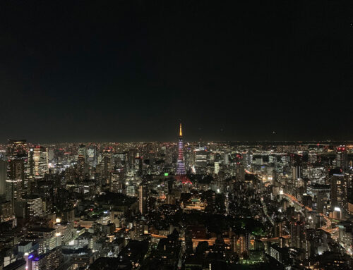 日本のアニメで育てられた私は正義の味方になりたかった