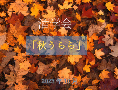 酒学会「秋うらら」報告 － 10.22は「満天」