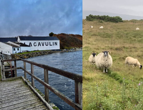 アイラ島 – 研修旅行- 筒井2025