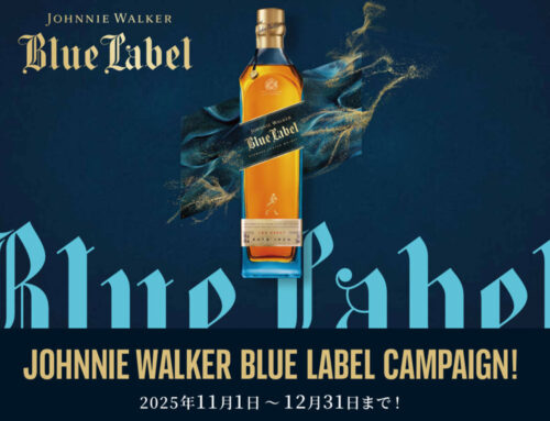 シングルトン　キャンペーン