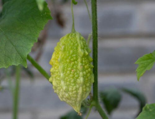 一日一日大切に