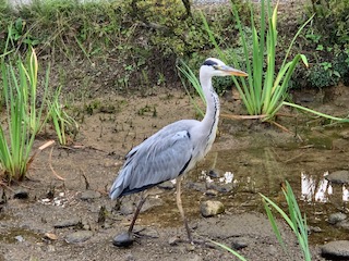 7image14